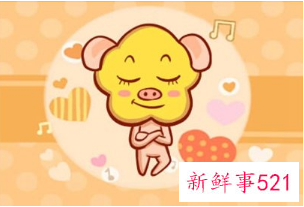 95年属猪女人一生的命运