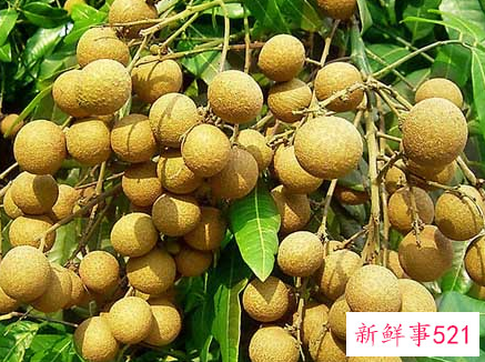 吃龙眼的好处有哪些