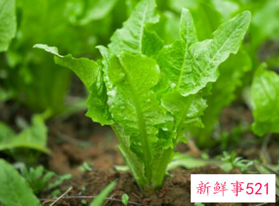 最挣钱没人干的行业