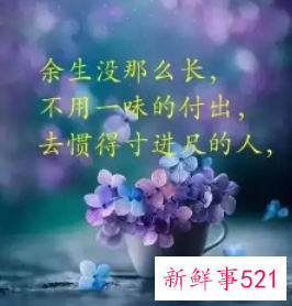 婚姻格言经典短句