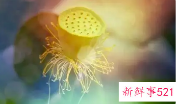 人不顺的时候怎么转运