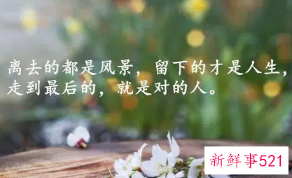 婚姻生活哲理感悟句子