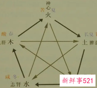 金木水火土和人体关系