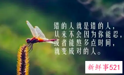 行业付出心态的感悟