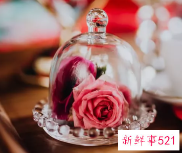 唯美的爱情短句