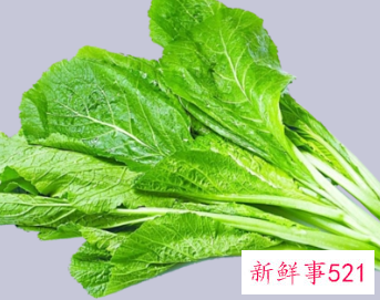 芥菜和哪些食物相克