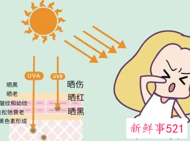 香车美人车厢里的美容大秘密