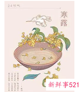 24节气趣味主题活动