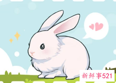 属兔女人在床上的表现