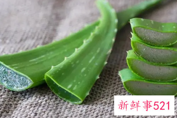 芦荟和什么放一起能祛斑