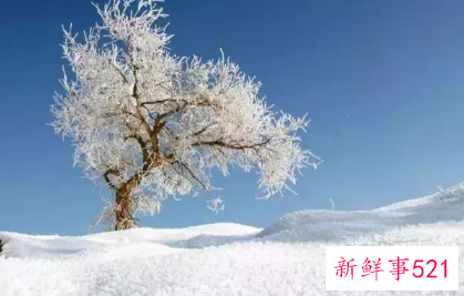 霜降冷不冷穿什么衣服