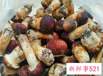 云南赤松茸怎么吃