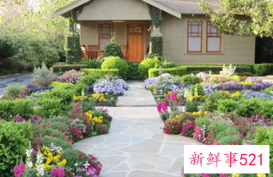 怎样绿化家里的庭院