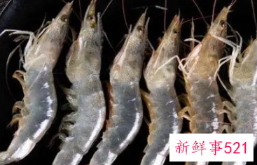 孕妇梦见抓虾是什么意思