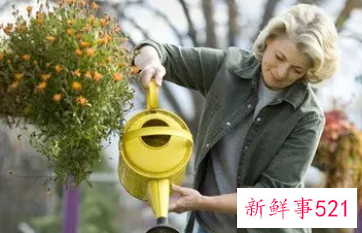梦见搬花盆什么意思