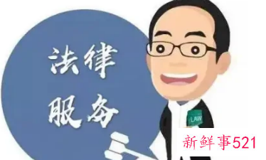 律师的职业类型