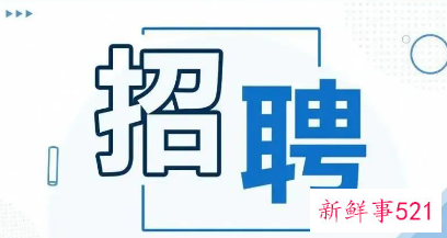 大学生求职意向