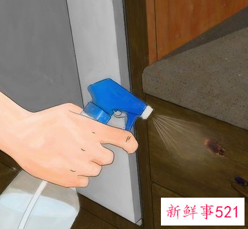如何消除蟑螂