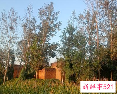 孩子的名字和奶奶的字一个音