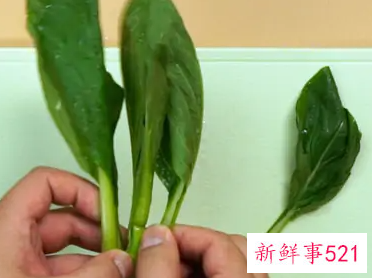 电饭锅煲青菜粥
