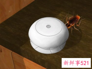 如何消除蟑螂