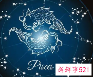 双鱼座适合养什么猫比较好