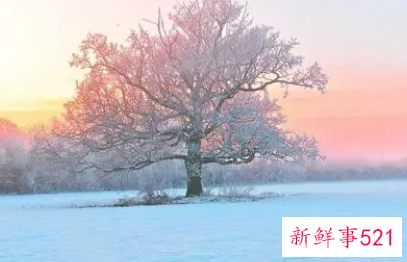 开晨会激励员工的话术