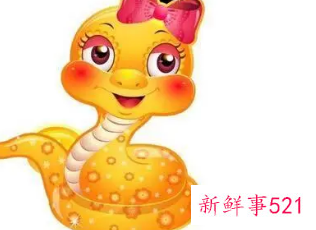 01年蛇女和94年狗男婚配