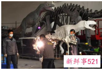 剑龙中国起源说添再新证据：重庆出土最古老的剑龙化石