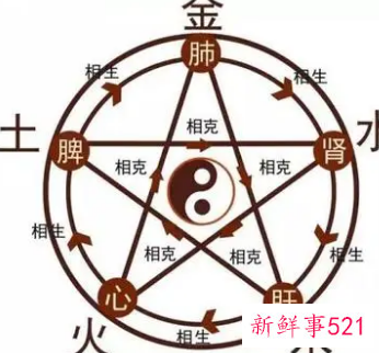 金木水火土和人体关系