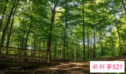 领导明示暗示你走人