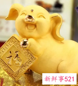 鼠和猪的属相合不合财