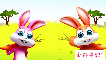 最善良的生肖女