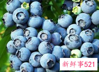 哪些水果最有营养价值