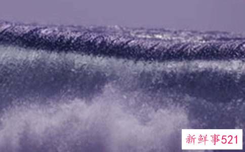 梦见海啸有什么预示