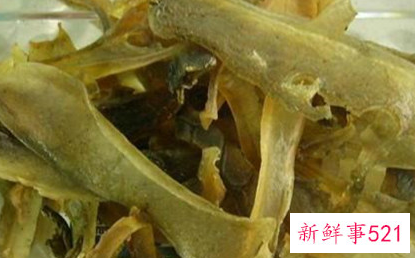 海龟板胶的功效与作用