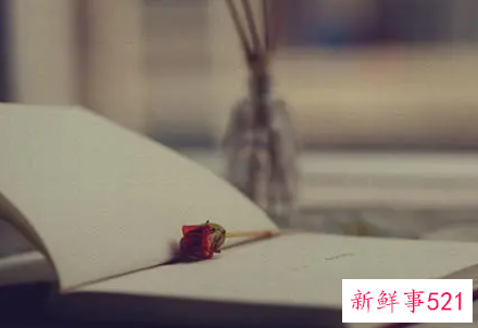 从事学校财务的工作感想