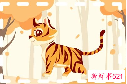 1974属虎命晚年很苦