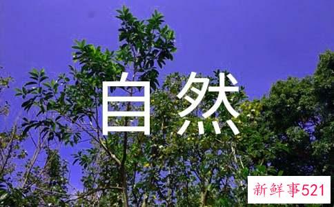 习惯怎样才能成自然