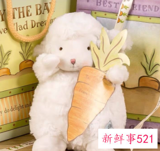 送女友实用的生日礼物