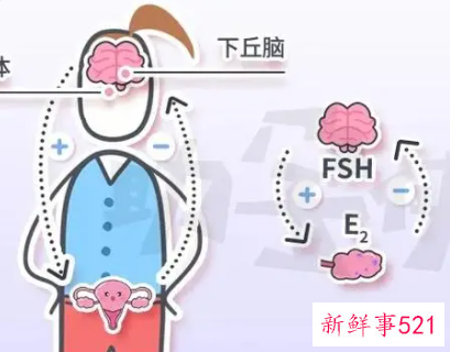 人体孕激素过多