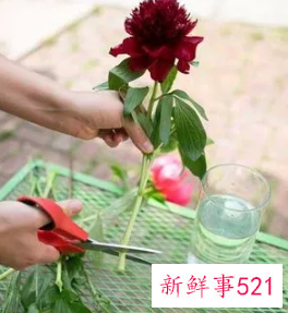 请问鲜花的保鲜方法