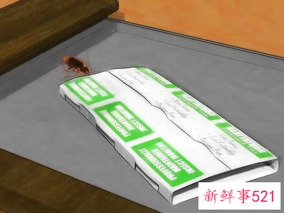 如何消除蟑螂