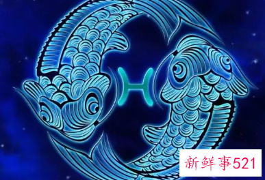 双鱼座适合养什么猫比较好