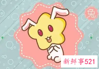 属兔的好运名字