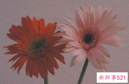 来自宇宙的极致浪漫