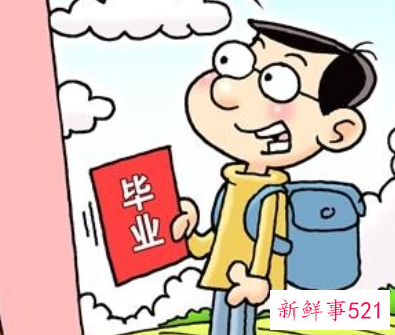 就业表包括什么内容