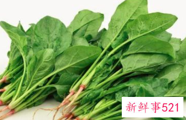 身体虚弱吃什么补充营养