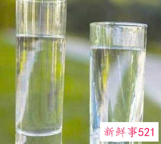 误食绿萝叶子会中毒吗