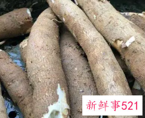 肠胃不好可以吃木薯吗